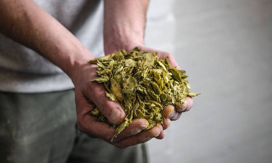 Front Hill Brewing Company