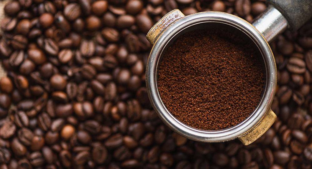 The Wendy House The Wendy House