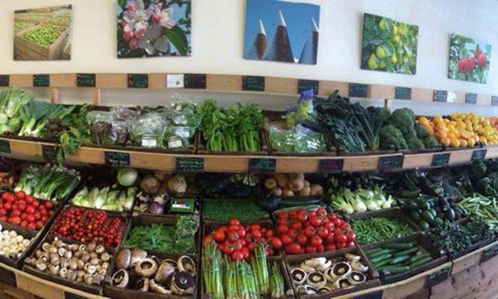 Locality Camden Road Locality Camden Road