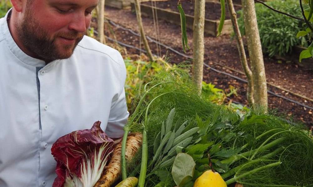 The Small Holding harvest The Small Holding harvest