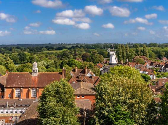 Cranbrook-view-Sarah-Mott View over Cranbrook with the windmill in the background