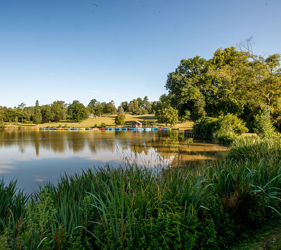 Dunorlan-Park-Fishing