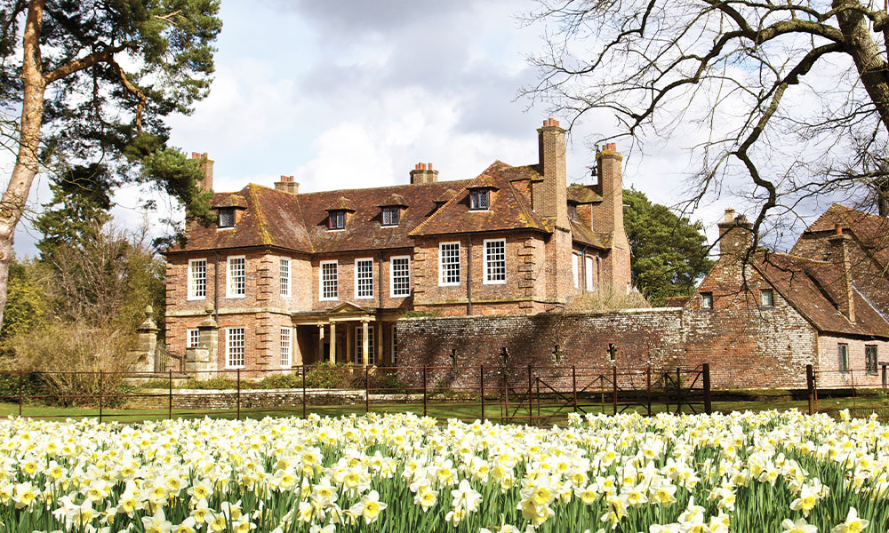 Groombridge-Place–dafodils-web-res