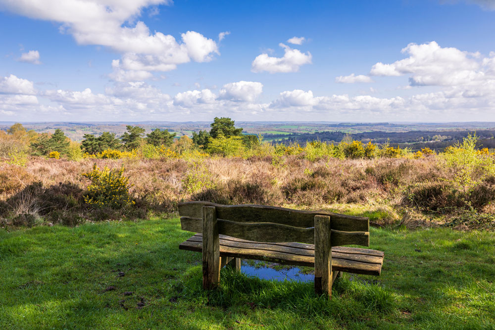 Ashdown Forest view Ashdown Forest view
