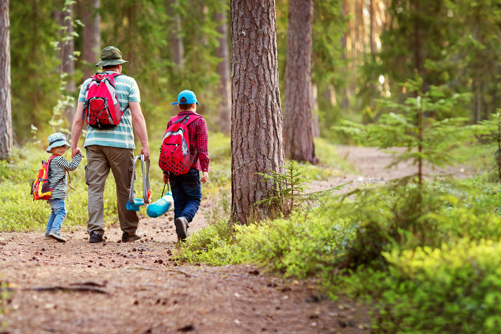 Family walk in woodlands