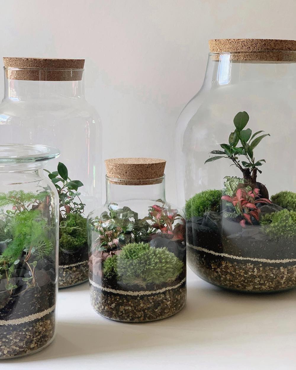 terrapy-tunbridge-wells-1