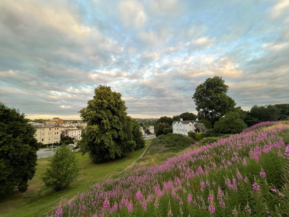 Tunbridge Wells viewpoint Tunbridge Wells viewpoint