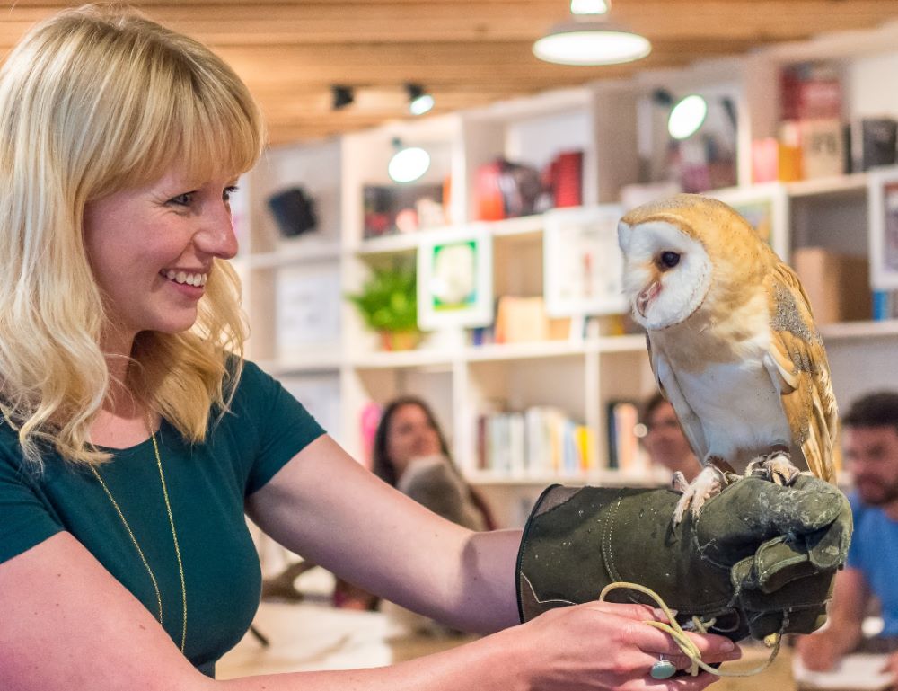 Owl sitting on a hand Owl sitting on a hand