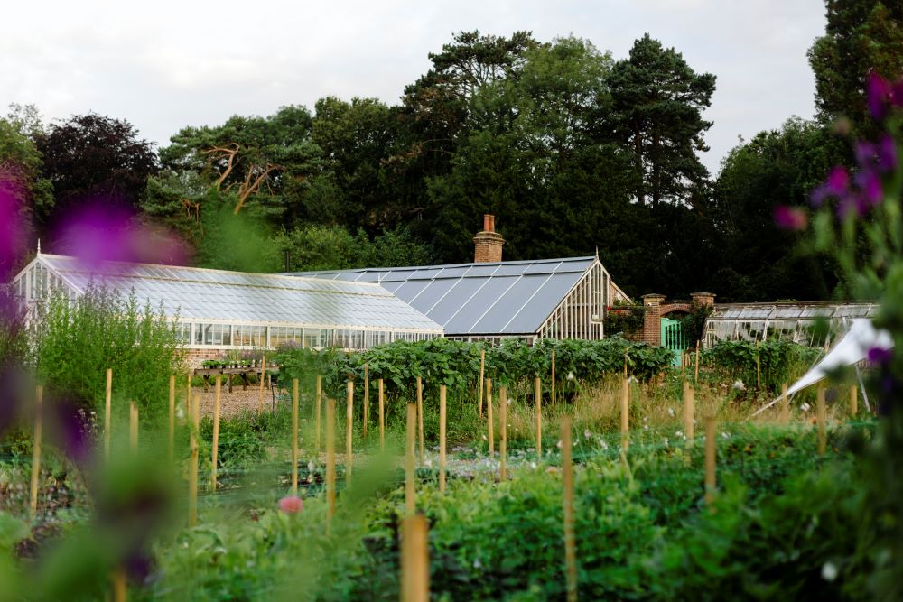 The gardens at Water-Lane-Maria-Bell-Photography-copyright-4 (002)