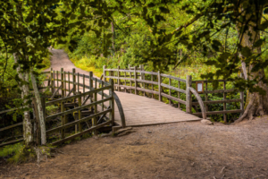 ashdown-pooh-bridge-1k-800×534