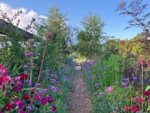 Bright flowers in garden