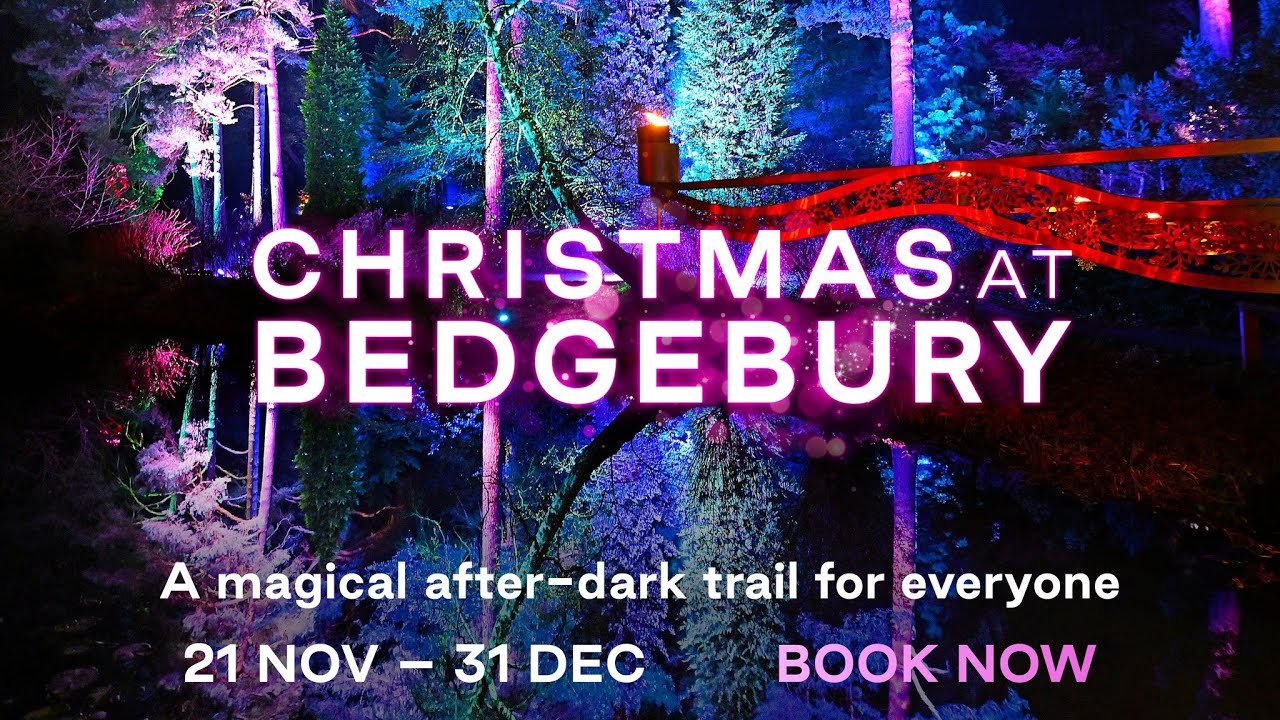 Christmas at Bedgebury