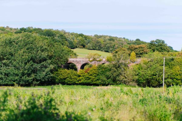 railway viaduct above green field and woodland environment