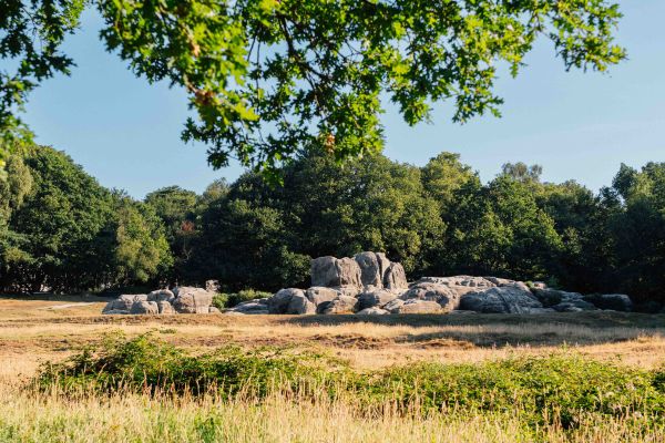 The Commons in Tunbridge Wells
